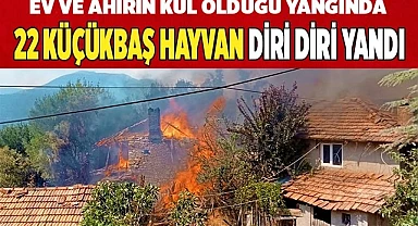 Ev ve ahırın kül olduğu yangında 22 küçükbaş hayvan telef oldu