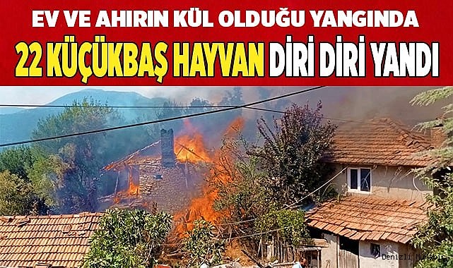 Ev ve ahırın kül olduğu yangında 22 küçükbaş hayvan telef oldu