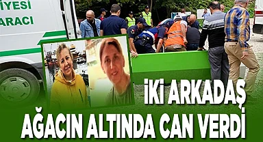 iki arkadaş devrilen ağacın altında can verdi