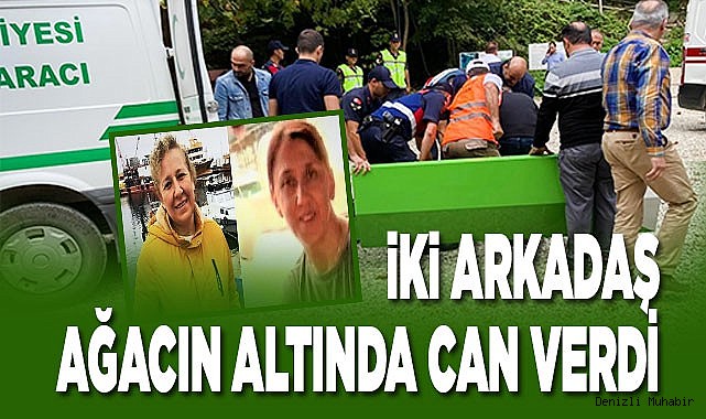 iki arkadaş devrilen ağacın altında can verdi