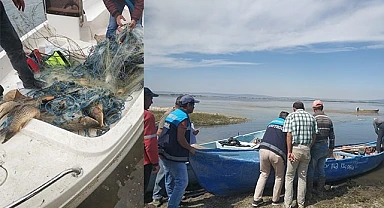 Işıklı Gölünde kaçak avcılara göz açtırılmıyor