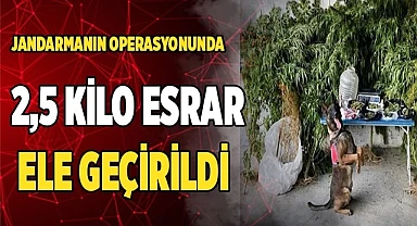Jandarmanın operasyonunda 2,5 kilo esrar ele geçirildi
