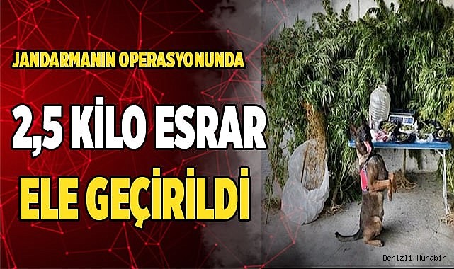 Jandarmanın operasyonunda 2,5 kilo esrar ele geçirildi