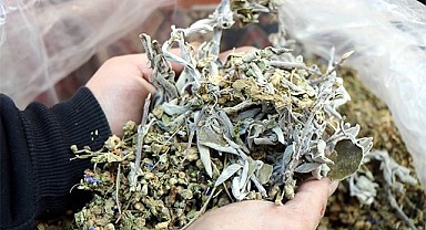 Kekik ve adaçayından kolonya yapıldı