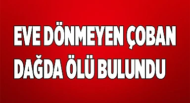Kendisinden haber alınamayan çoban ölü bulundu