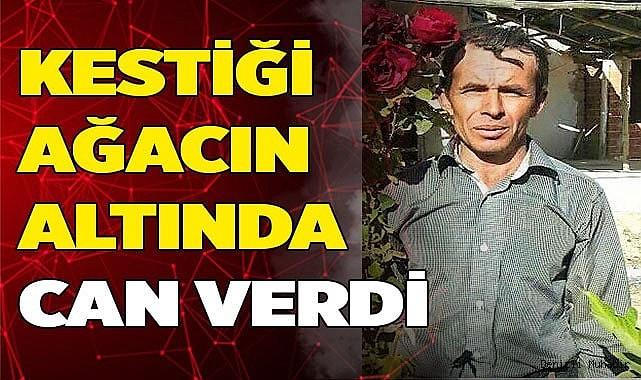 Kestiği ağacın altında kalan orman işçisi hayatını kaybetti