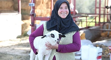 MERKEZEFENDİDE KÜÇÜKBAŞ HAYVAN DESTEĞİ KAYITLARI BAŞLIYOR