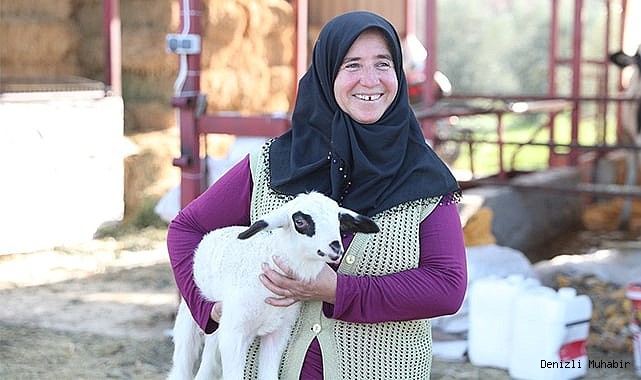 MERKEZEFENDİDE KÜÇÜKBAŞ HAYVAN DESTEĞİ KAYITLARI BAŞLIYOR