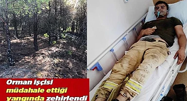 Orman işçisi müdahale ettiği yangında zehirlendi