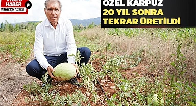 Özel karpuz 20 yıl sonra tekrar üretildi