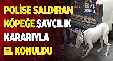 Polise saldıran köpeğe savcılık kararıyla el konuldu
