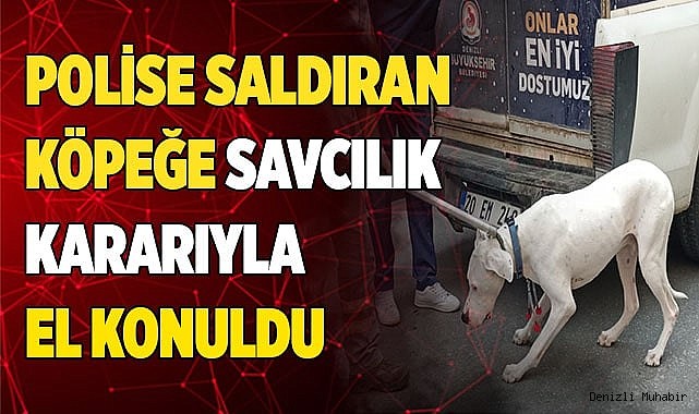 Polise saldıran köpeğe savcılık kararıyla el konuldu