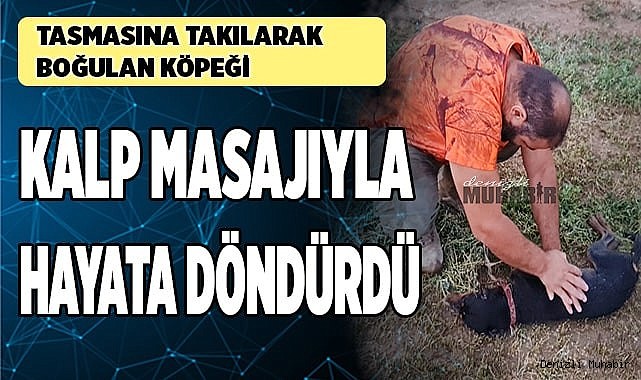 Tasmasına takılarak boğulan köpeği kalp masajıyla hayata döndürdü