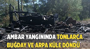Tonlarca buğday ve arpa küle döndü