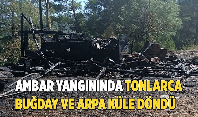 Tonlarca buğday ve arpa küle döndü