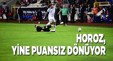 1. Lig: Erzurumspor FK: 1 - Altaş Denizlispor: 0