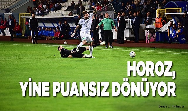 1. Lig: Erzurumspor FK: 1 - Altaş Denizlispor: 0