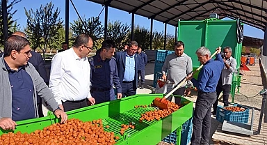 Acıpayam’da Ceviz Bereketi