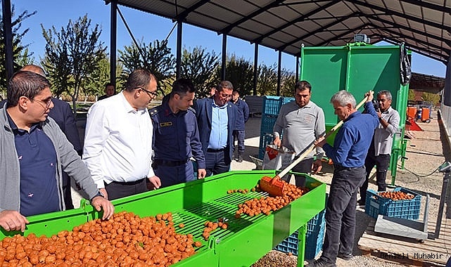Acıpayam’da Ceviz Bereketi