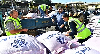 Atalık karakılçık buğdayı, toprakla buluşacak
