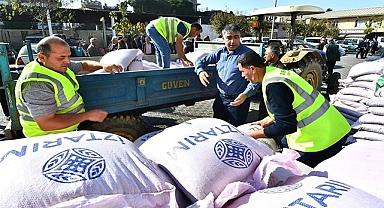Atalık karakılçık buğdayı, toprakla buluşacak