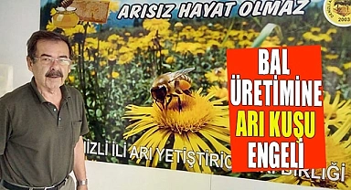 Bal üretimine arı kuşu engeli