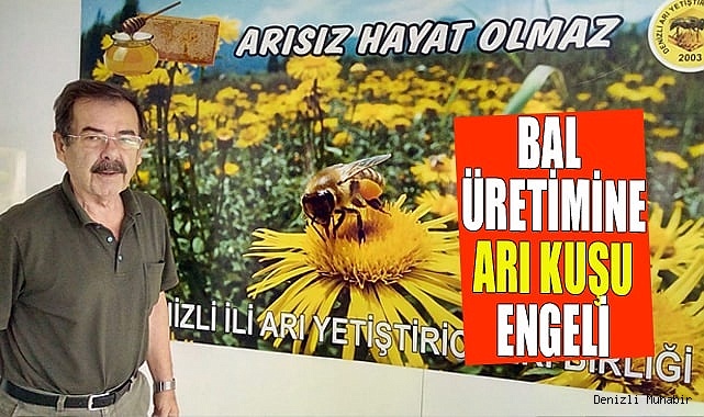 Bal üretimine arı kuşu engeli