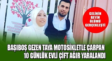 Başıboş gezen taya motosikletle çarpan 10 günlük evli çift ağır yaralandı