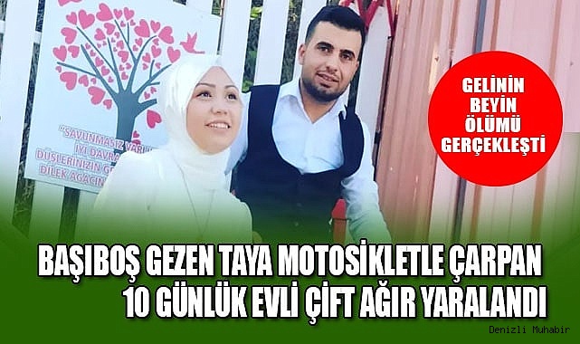 Başıboş gezen taya motosikletle çarpan 10 günlük evli çift ağır yaralandı