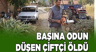 Başına odun düşen çiftçi öldü