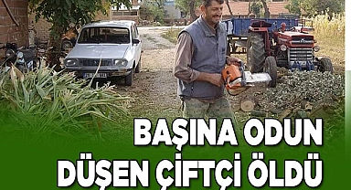 Başına odun düşen çiftçi öldü