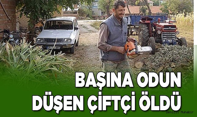 Başına odun düşen çiftçi öldü