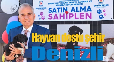 Büyükşehir’den Dünya Hayvanları Koruma Günü’ne özel program