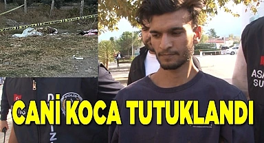 Cani koca tutuklandı