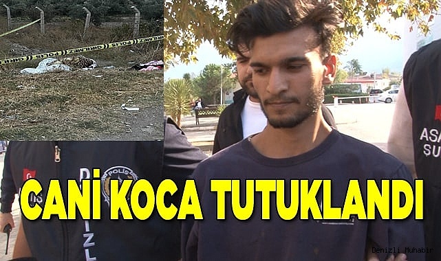 Cani koca tutuklandı