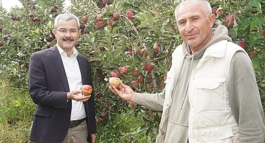 Çivril elması Cumhurbaşkanı Erdoğan'a hediye edildi