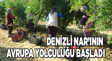 Denizli narının Avrupa’ya ihracat yolculuğu başladı