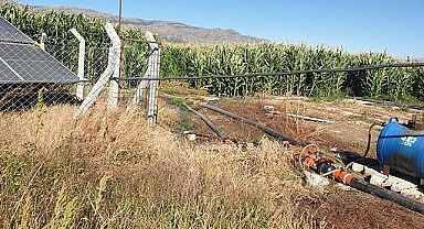 Hibe desteğinden yaralanan yatırımcıların denetimi sürüyor