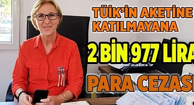 TÜİK’in anketine katılmayana 2 bin 977 lira para cezası