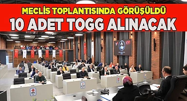 10 ADET "PAMUKKALE" RENKLİ TOGG ALACAK