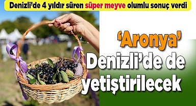 Aronya üretimi Türkiye'de de günden güne artıyor