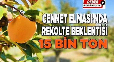 Cennet Elması, üreticinin yüzünü güldürdü