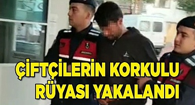 Çiftçilerin kabusuna ‘Yarasa avı' operasyonu
