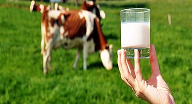 Çiğ süt destekleme ödemesi yatırılmaya başlandı