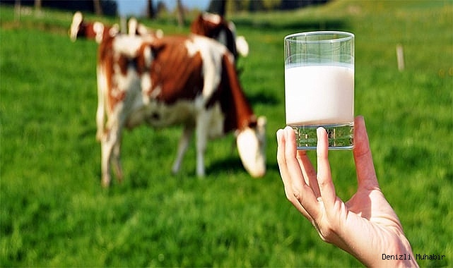 Çiğ süt destekleme ödemesi yatırılmaya başlandı