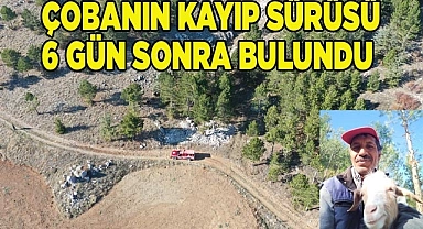 Çobanın kayıp sürüsü 6 gün sonra bulundu