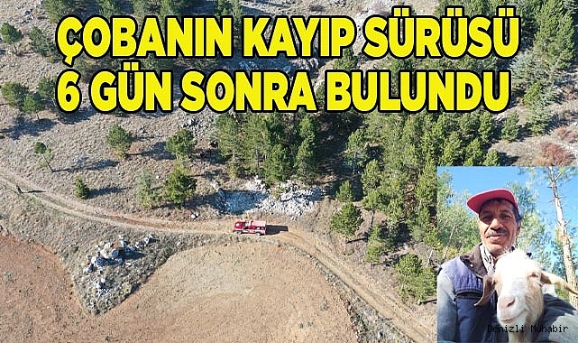 Çobanın kayıp sürüsü 6 gün sonra bulundu