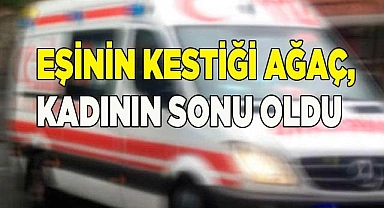 Eşinin kestiği ağaç sonu oldu