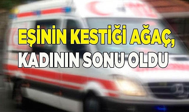 Eşinin kestiği ağaç sonu oldu