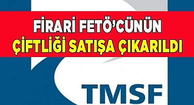 Firari FETÖ’cünün çiftliği satışa çıkarıldı